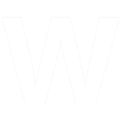 @WizVFX-Studio